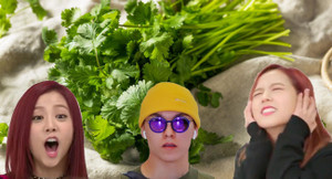 Bất ngờ với cách người Hàn chế biến rau mùi, khác biệt hoàn toàn với Việt Nam