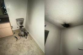 Hy hữu sét đánh vào toilet căn hộ, nhìn cảnh hiện trường mà không thể tin nổi