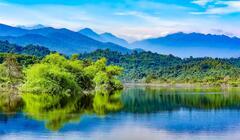 Vẻ nguyên sơ tại khu rừng Việt Nam đầu tiên tìm thấy ‘kỳ lân châu Á’ - sao la