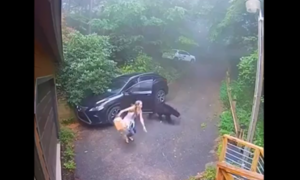 Gái xinh tá hoả khi thấy gấu ở trong xe