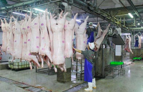 Giá heo hơi tăng mạnh, vượt mốc 60.000 đồng/kg