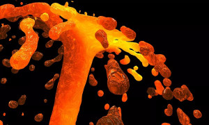 Sự ấm lên của toàn cầu từng gây ra vụ tuyệt chủng lớn nhất trên Trái Đất