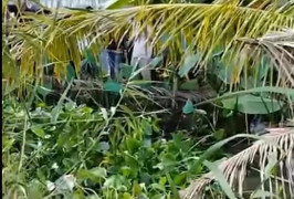 Bắt khẩn cấp kẻ giết chồng rồi giấu thi thể dưới ao hơn 4 tháng