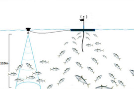 Giải pháp hỗ trợ ngư dân giành giải 100 triệu đồng cuộc thi Sáng kiến khoa học 