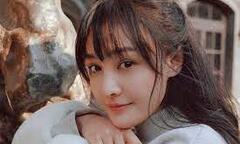 Bị đuổi khỏi showbiz, Trịnh Sảng chuyển nghề mới