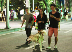 Hà Nội cấm mang chó mèo, loa công suất lớn vào phố đi bộ hồ Gươm