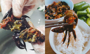 Ba khía trộn đơn giản nhưng gây nghiện, ăn vào ngày mưa thì đưa cơm phải biết