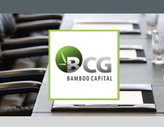 Bamboo Capital làm cách nào để 'cơ cấu tài chính lý tưởng'?