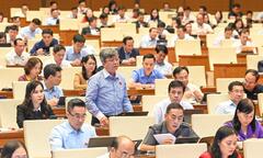 'Luật rừng' là có hại, nhưng một 'rừng luật' xung đột thiệt hại còn nhiều hơn