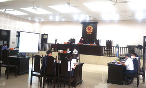 Vụ Giám đốc công ty bất động sản tự tử tại tòa: Y án sơ thẩm