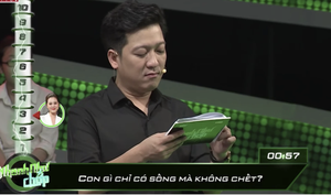 Con gì chỉ có sống mà không có chết?