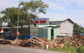 Quảng Nam: Khu dân cư bị 'tra tấn' bởi xưởng băm gỗ