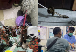 Đang ngồi bồn cầu bị trăn cắn vào mông, khi đi khám lại sốc thêm lần nữa 