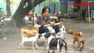Video: 'Vương quốc' chó mèo của người phụ nữ bán hủ tiếu