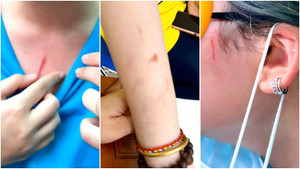 Mạng xã hội xôn xao vụ nhóm nữ sinh trường quốc tế tại TP.HCM ẩu đả