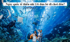 Đưa trẻ đi đâu chơi trong Ngày Quốc tế Thiếu nhi 1/6?