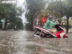 Cây đổ, đường ngập như sông ở Hà Nội sau cơn mưa lớn