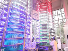 Video: Cận cảnh tháp xoắn ốc trồng cỏ cho gia súc ở Trung Quốc