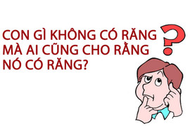 Con gì không có răng mà ai cũng cho rằng nó có răng?