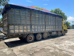 Tước bằng lái 4 tháng với tài xế tố bị CSGT Quảng Trị đánh rạn xương sườn