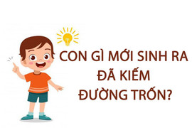 Con gì mới sinh ra đã kiếm đường trốn?