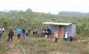 Đắk Nông: Sẽ cưỡng chế 133 trường hợp lấn chiếm, mua bán đất rừng