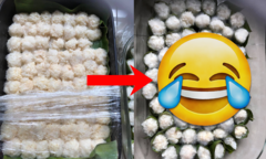 Tập tành làm cơm rượu đón Tết Đoan Ngọ vô tình tạo ra ‘mẫu vật phòng thí nghiệm'