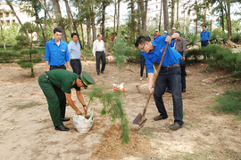 Phủ xanh đô thị tại Bình Thuận: Đã có doanh nghiệp tiên phong đồng hành