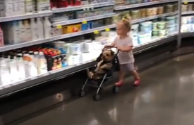 Cún con 'số hưởng' 