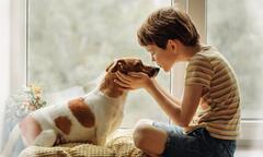Bé trai bị cả đàn giun làm tổ trong mắt do ăn ngủ cùng chó cưng