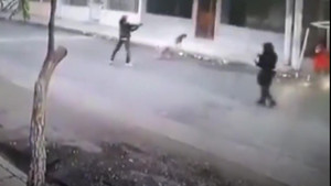 Video: Giật túi xách giữa phố, kẻ cướp bị 2 chú chó truy đuổi