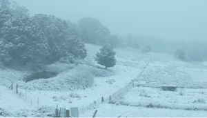 Australia đón mùa đông lạnh chưa từng thấy trong hơn 100 năm qua