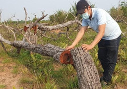 Kỷ luật 2 lãnh đạo xã vì để gần 400 ha rừng ở Đắk Lắk bị phá