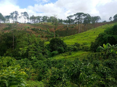 Bỏ nghề lao vào cơn sốt đất, giờ thất nghiệp đi chạy xe ôm