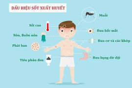 Mất cảnh giác với sốt xuất huyết sau 2 năm chống dịch COVID-19