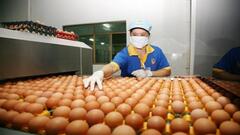 Giá trứng tăng cao vì thiếu nguồn cung cấp