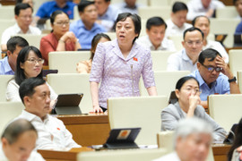 ĐBQH: Thanh tra mà báo trước, doanh nghiệp sẽ lấy 'vở sạch chữ đẹp' ra đón tiếp