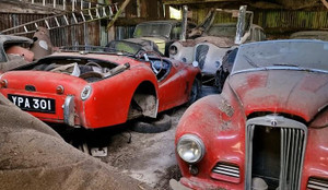 Phát hiện trang trại bỏ hoang chứa kho ô tô cổ hàng hiếm