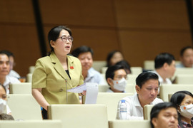 Trực tiếp: Quốc hội thảo luận dự án Luật Phòng chống bạo lực gia đình