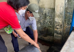 TP.HCM ghi nhận gần 1.000 ca tay chân miệng, 1.600 ca sốt xuất huyết trong tuần