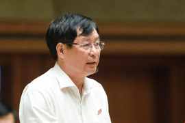 ĐBQH: Nhiều người bị bạo hành nhưng không lên tiếng vì 'đóng cửa bảo nhau'