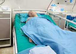 Bị ong đốt khi làm vườn, người đàn ông sốc phản vệ nặng 