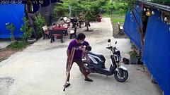Video: Hai chú chó cứu chủ nhân thoát khỏi rắn hổ mang cực độc