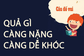Quả gì càng nặng càng dễ khóc?