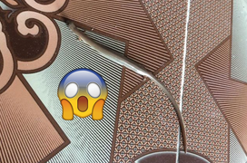 Đang quét nhà bỗng thấy ‘rắn mọc chân’ rơi xuống, người sợ, người khen đáng yêu 