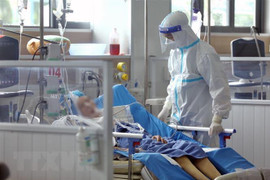 Cả nước thêm 533 ca COVID-19