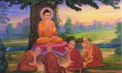 Đức Phật đã luân hồi bao nhiêu kiếp trước khi chứng đạo?