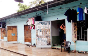 Không chống đỡ nổi cơn bão giá, vợ chồng con cái bỏ phố về quê