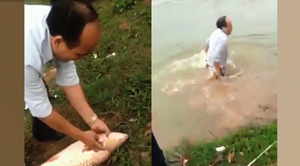 'Đau hơn hoạn' khi đã sổng cá lớn lại còn hỏng luôn điện thoại