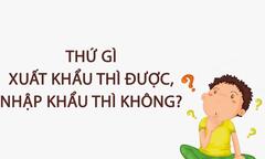 Thứ gì xuất khẩu thì được, nhập khẩu thì không?
